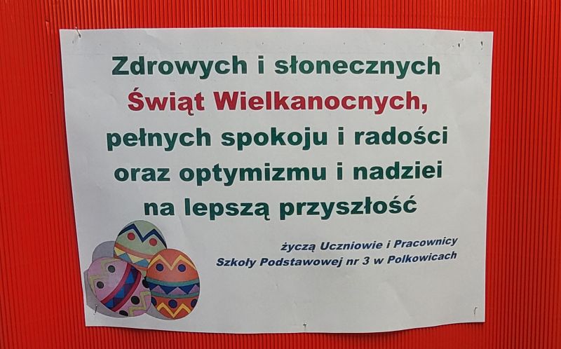 Zdjęcie 1