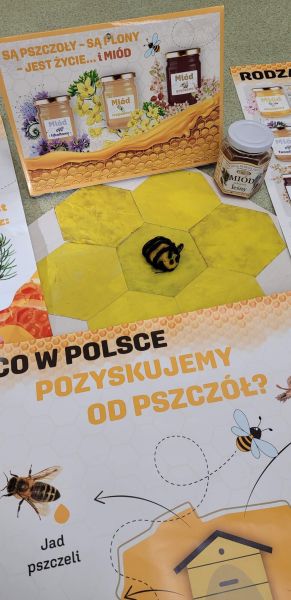 zdjęcie edukacji miodowej