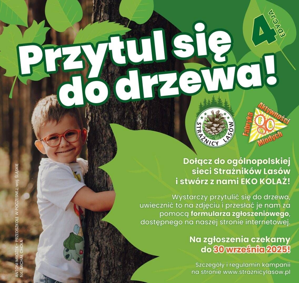 Zdjęcie 1