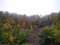 zdjęcie uczniów podczas warsztatów geologicznych