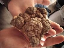 zdjęcie uczniów podczas warsztatów geologicznych