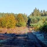 zdjęcie z wizyty w przemkowskim parku krajobrazowym