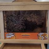 zdjęcie uczniów podczas warsztatów pszczelarskich