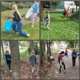 sprzątanie świata 24