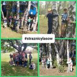 przytul się do drzewa 2024