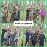 przytul się do drzewa 2024