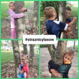 przytul się do drzewa 2024