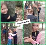 przytul się do drzewa 2024