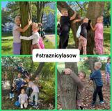 przytul się do drzewa 2024