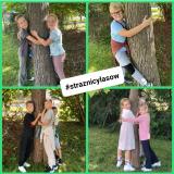 przytul się do drzewa 2024