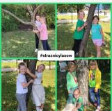 przytul się do drzewa 2024