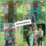 przytul się do drzewa 2024