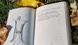 fotografia książki