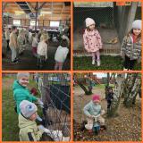 przedszkole-zamienice