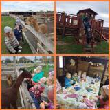 przedszkole-zamienice