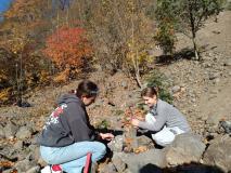 zdjęcie uczniów podczas warsztatów geologicznych