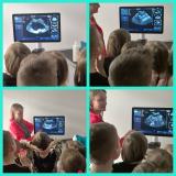 W PRZYCHODNI WETERYNARYJNEJ