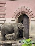 zoo